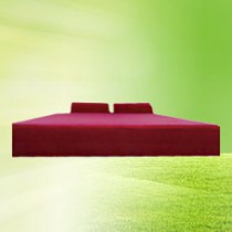 興佰康慢回彈床墊